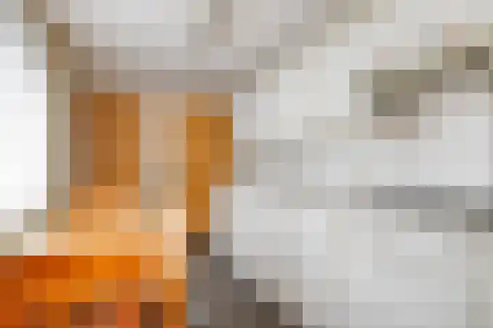 Molenstraat 44 Boxtel thumbnail 8