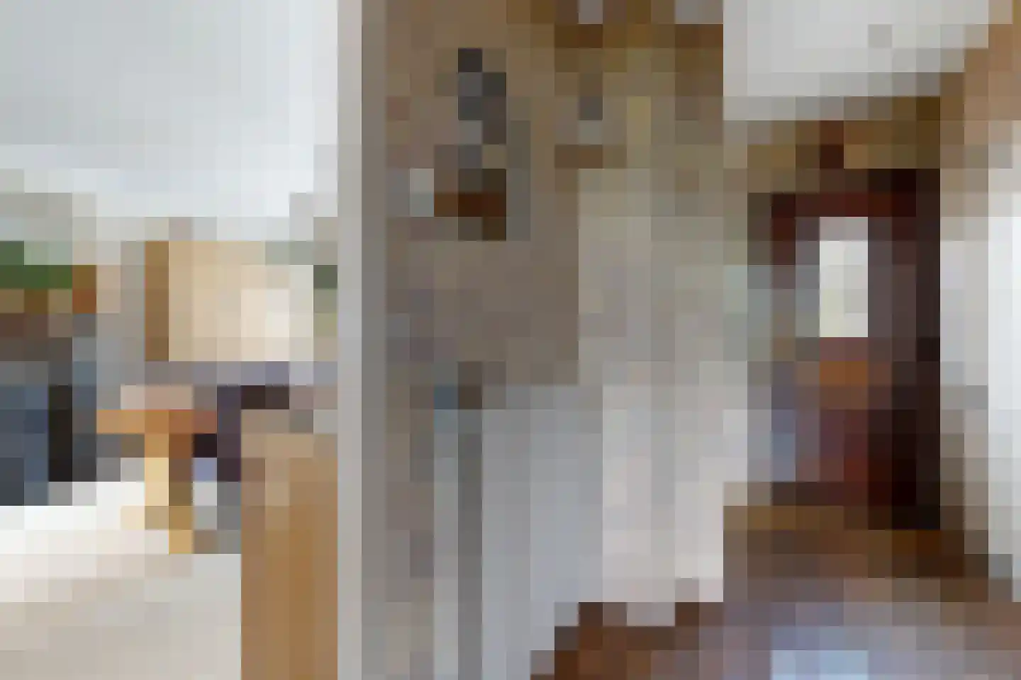 Molenstraat 44 Fijnaart thumbnail 10