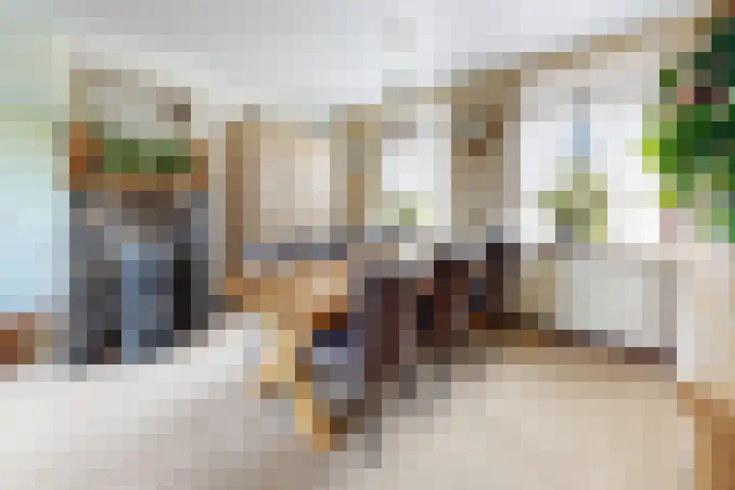 Molenstraat 44 Fijnaart thumbnail 11
