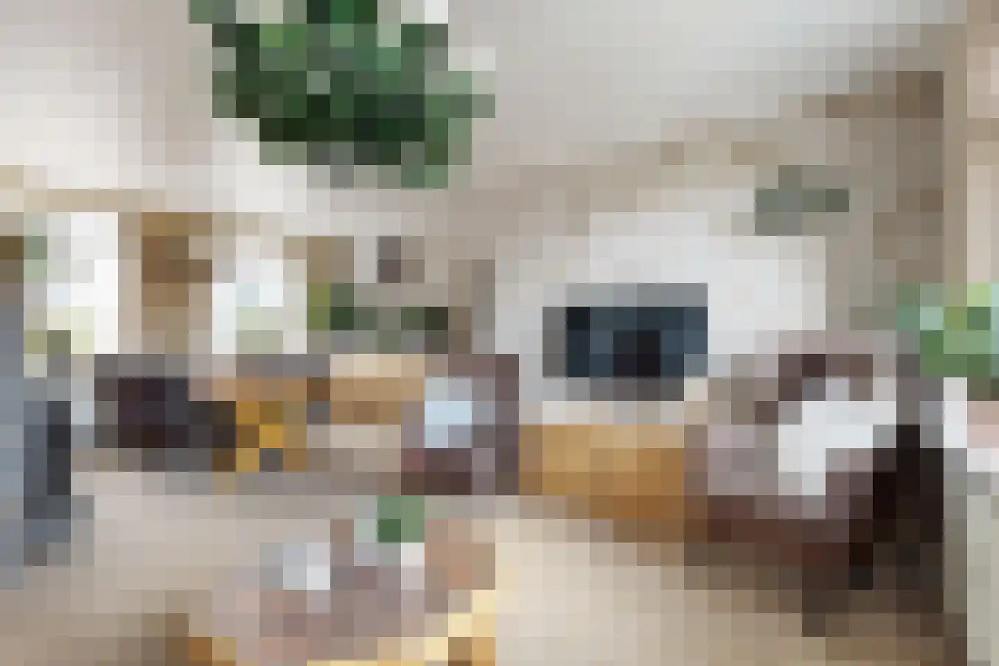 Molenstraat 44 Fijnaart thumbnail 18