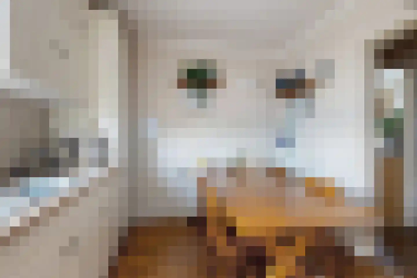 Molenstraat 44 Fijnaart thumbnail 20