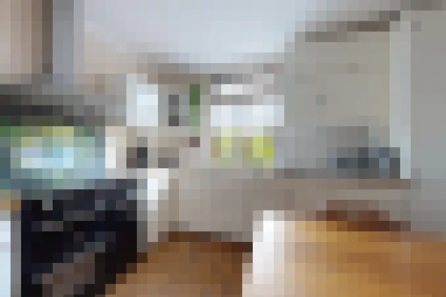 Molenstraat 44 Fijnaart thumbnail 21