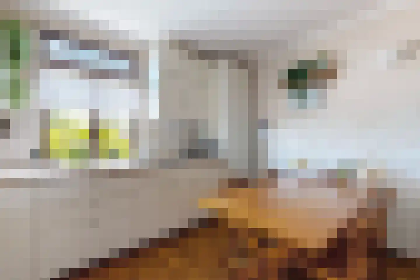 Molenstraat 44 Fijnaart thumbnail 22