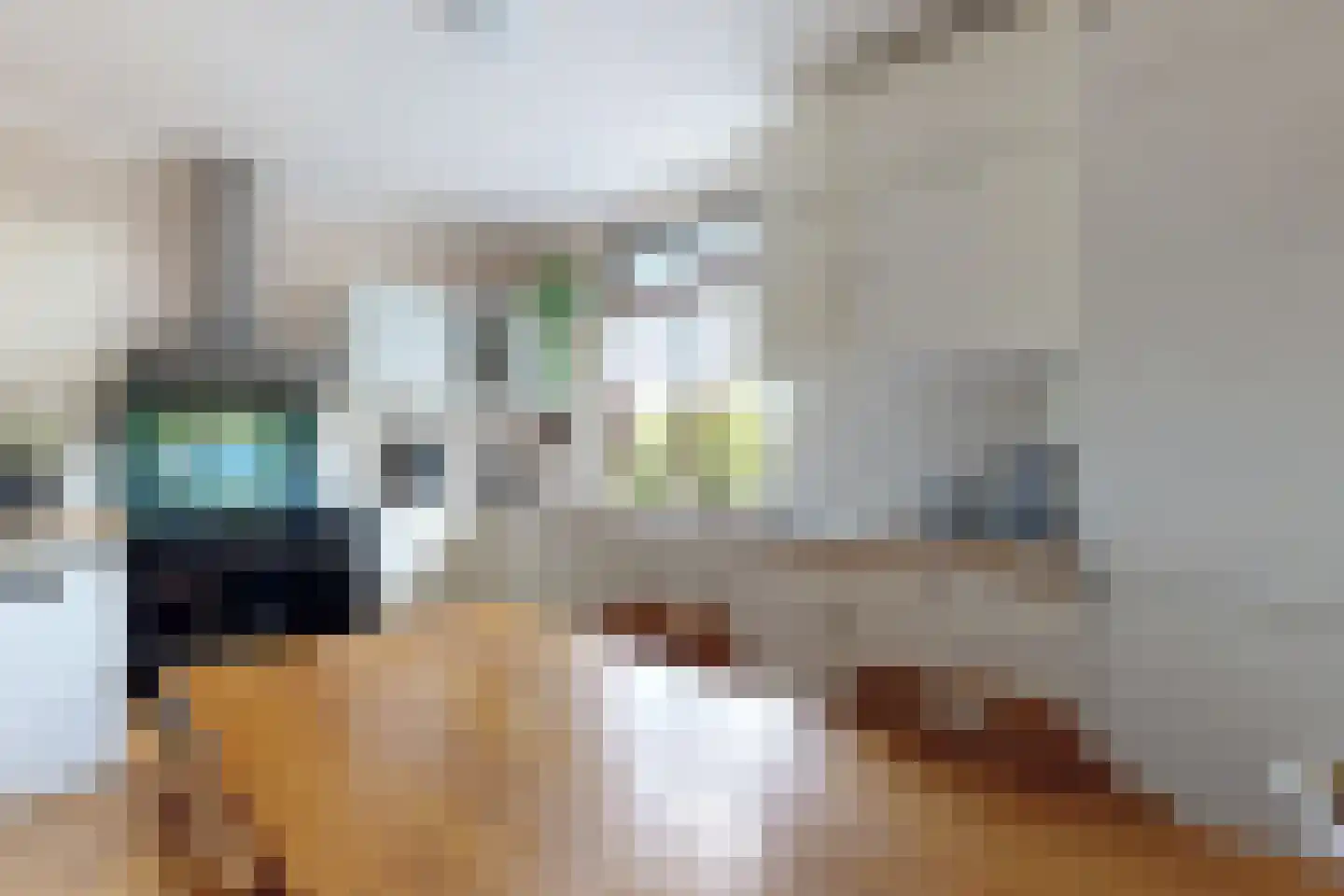 Molenstraat 44 Fijnaart thumbnail 24