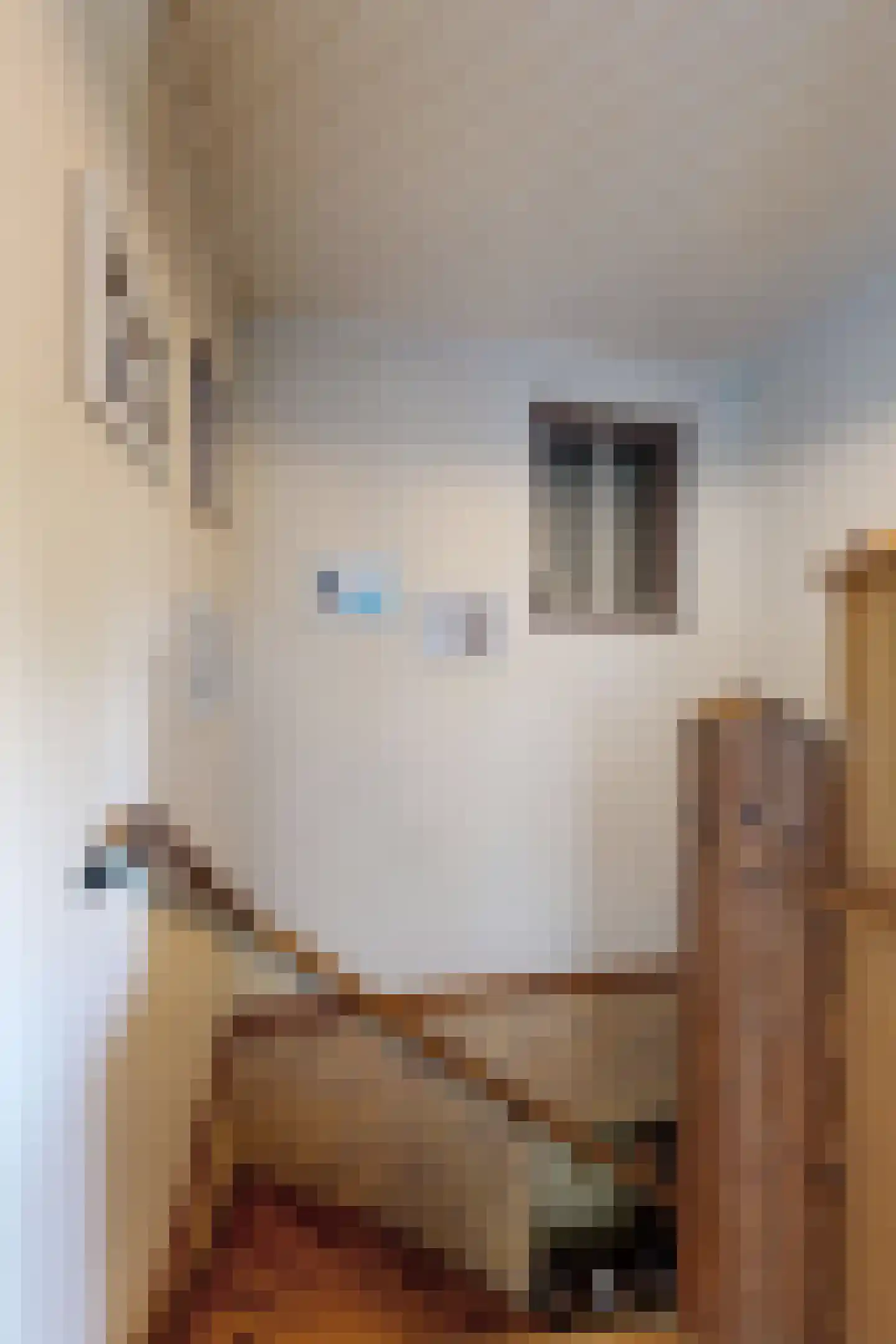 Molenstraat 44 Fijnaart thumbnail 26