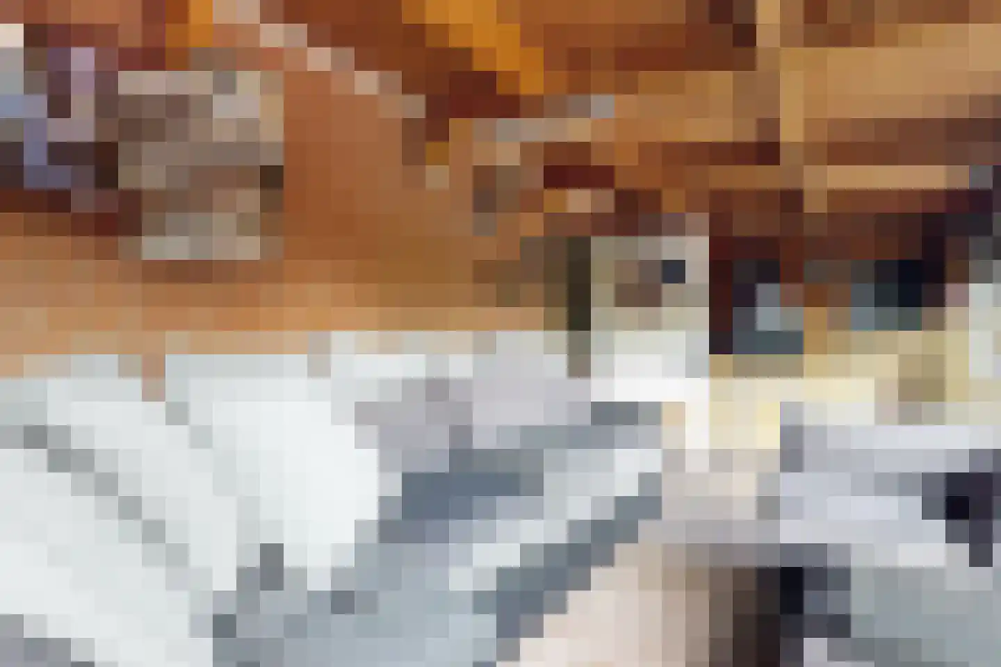 Molenstraat 44 Fijnaart thumbnail 47