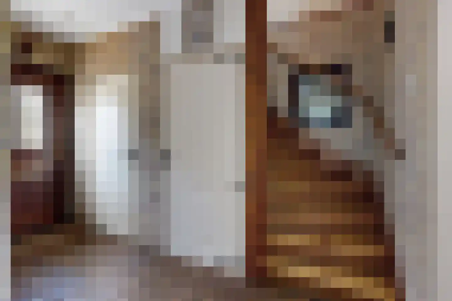 Molenstraat 44 Fijnaart thumbnail 9