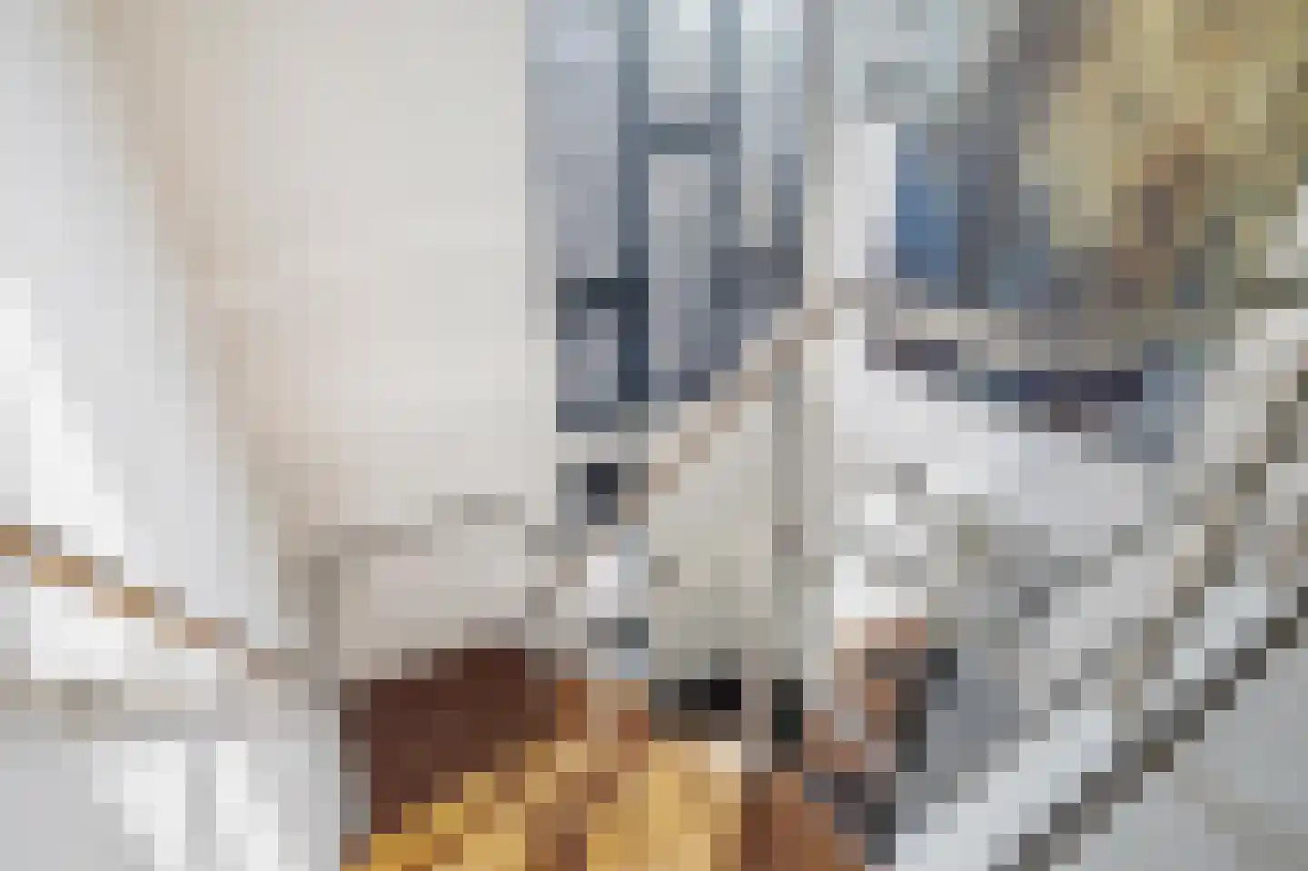 Molenstraat 44 Ulvenhout thumbnail 15