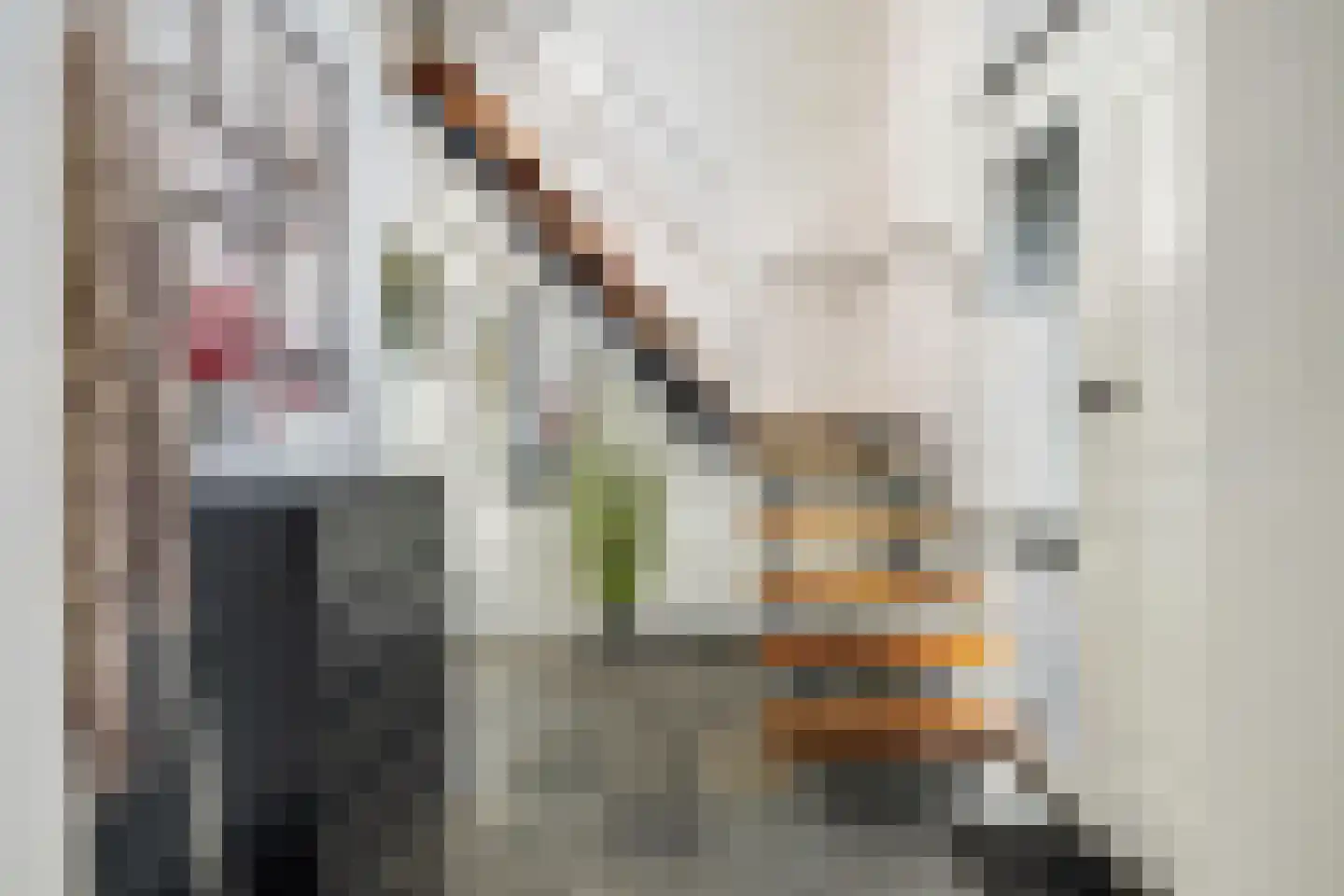 Molenstraat 44 Ulvenhout thumbnail 16