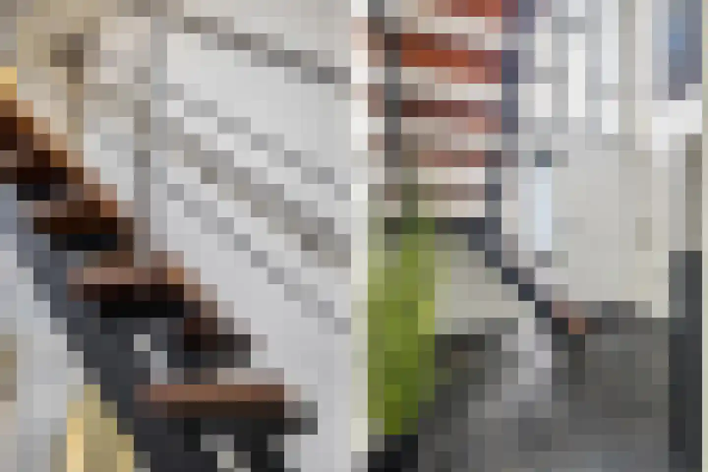 Molenstraat 44 Ulvenhout thumbnail 17