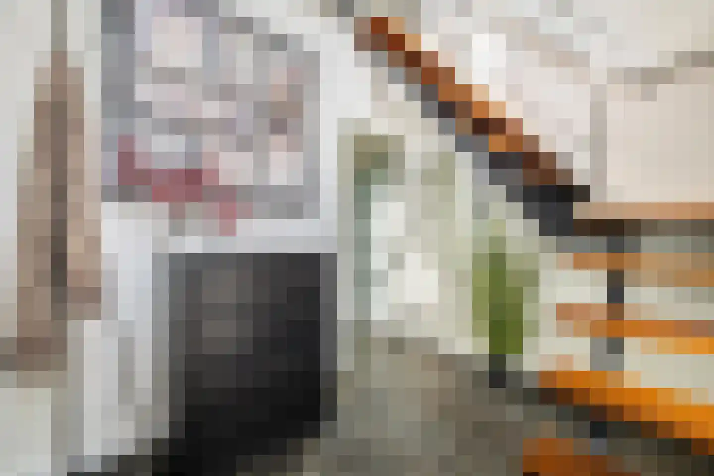 Molenstraat 44 Ulvenhout thumbnail 18