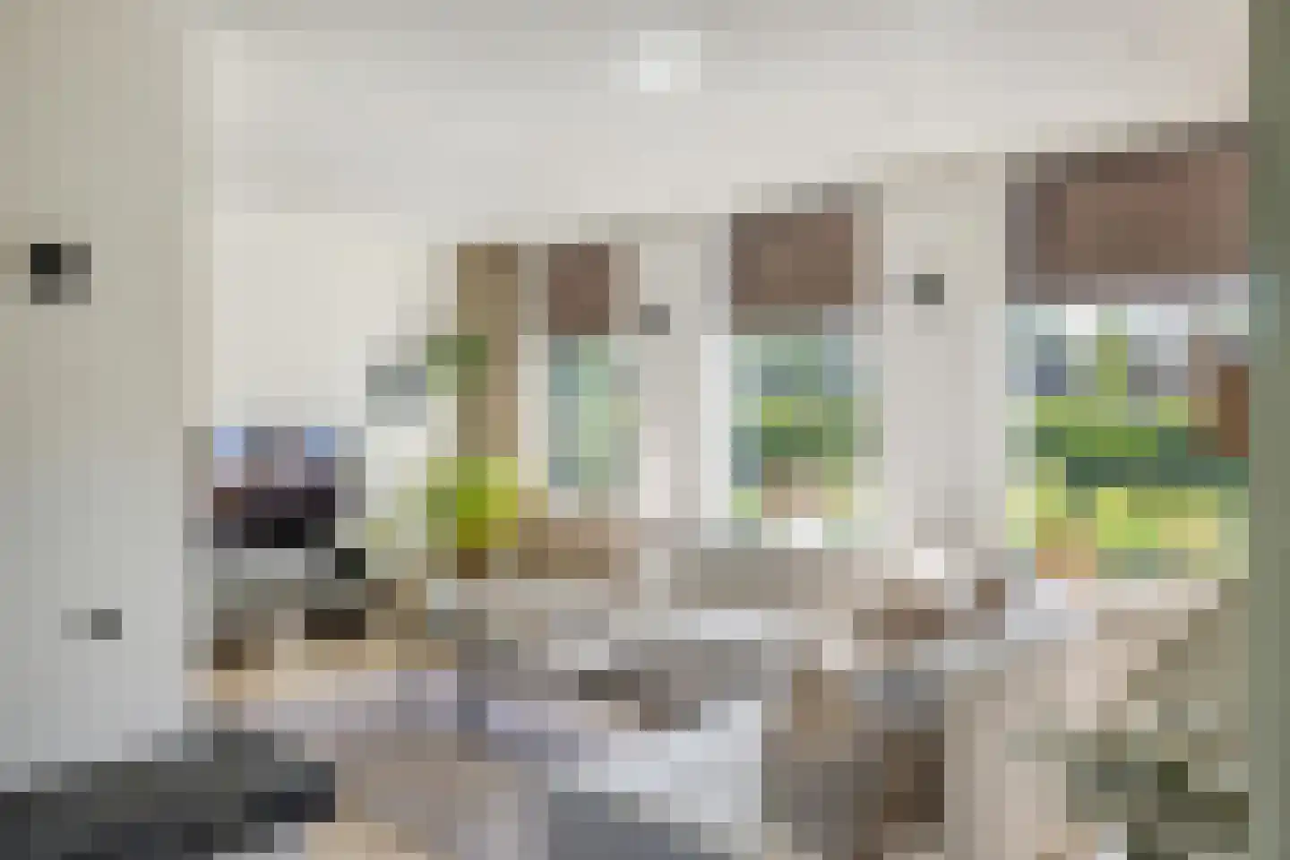 Molenstraat 44 Ulvenhout thumbnail 22