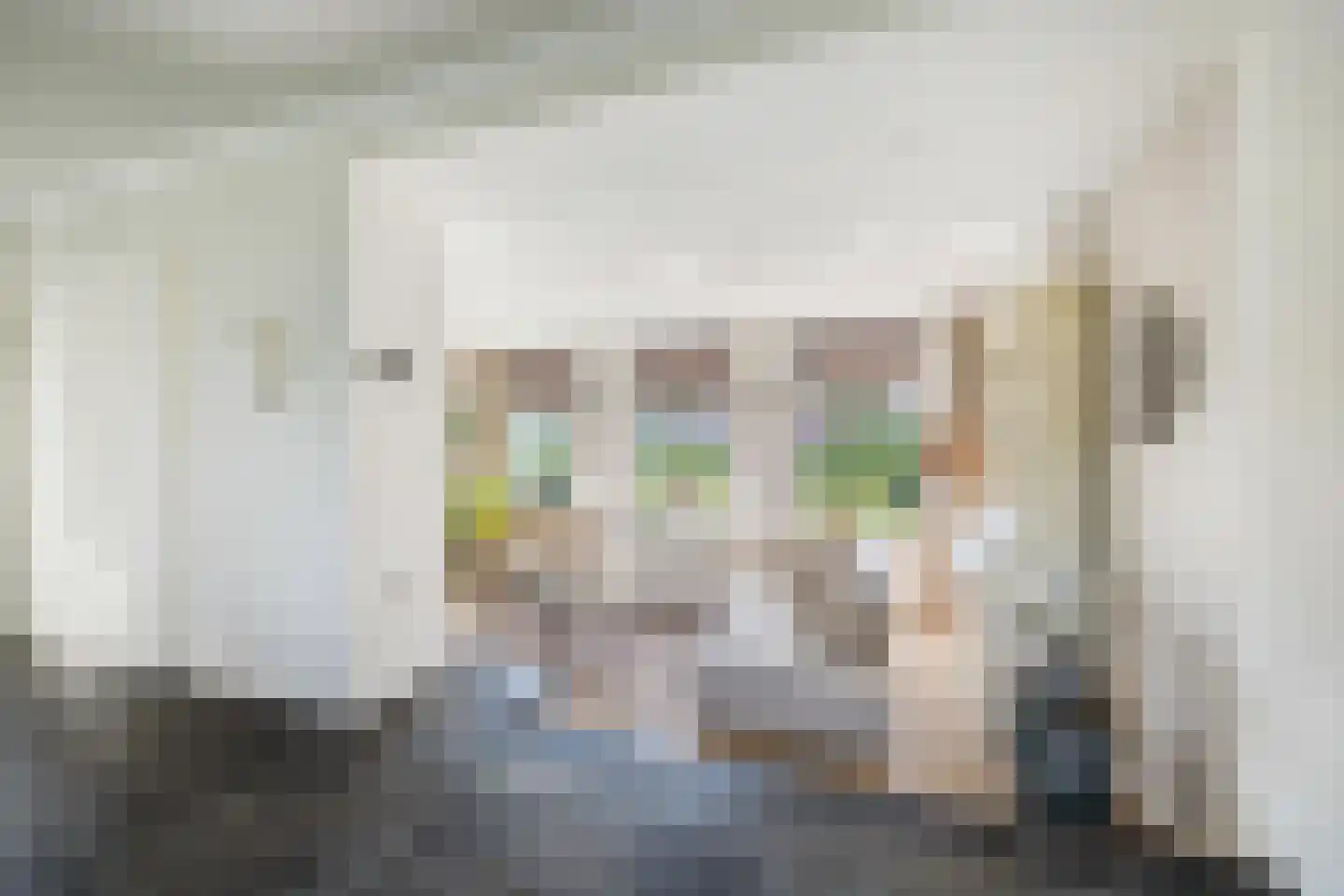 Molenstraat 44 Ulvenhout thumbnail 30