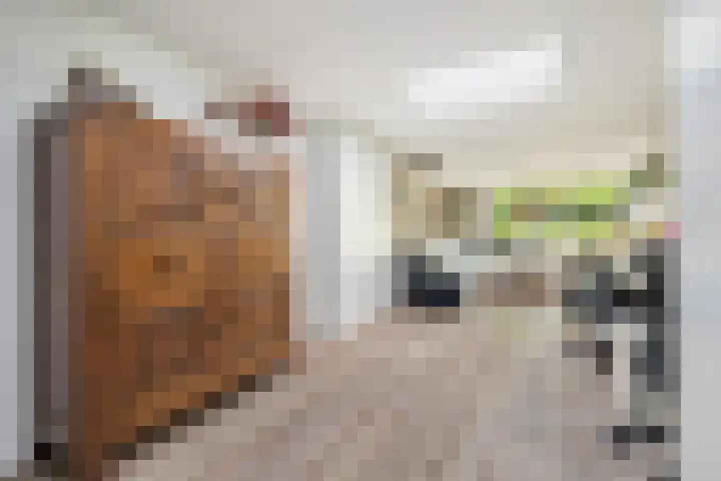 Molenstraat 44 Ulvenhout thumbnail 34