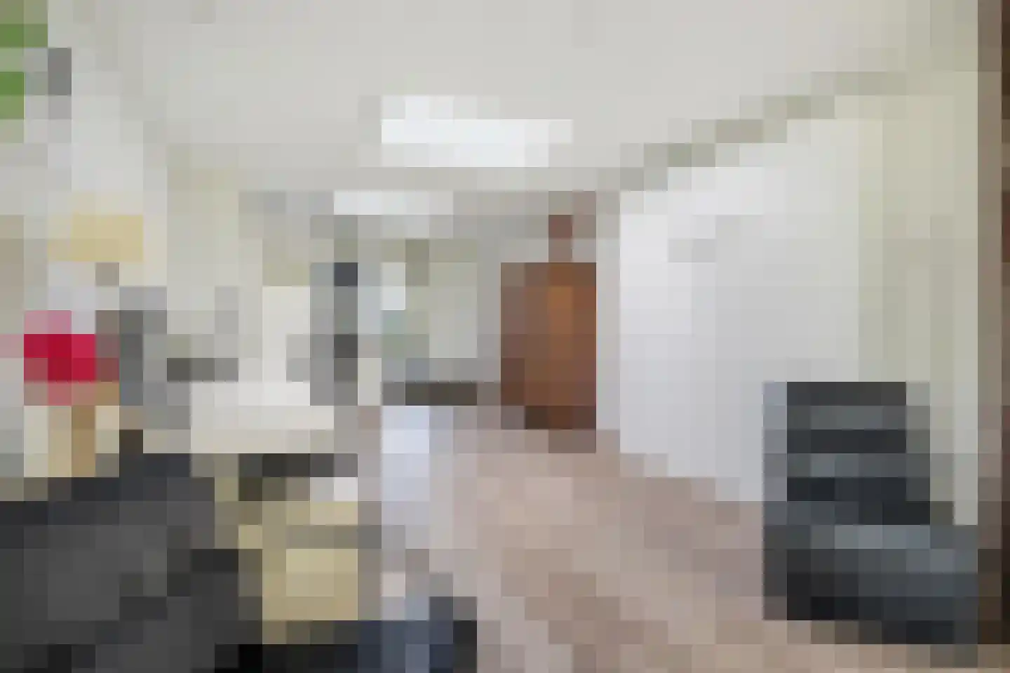 Molenstraat 44 Ulvenhout thumbnail 38
