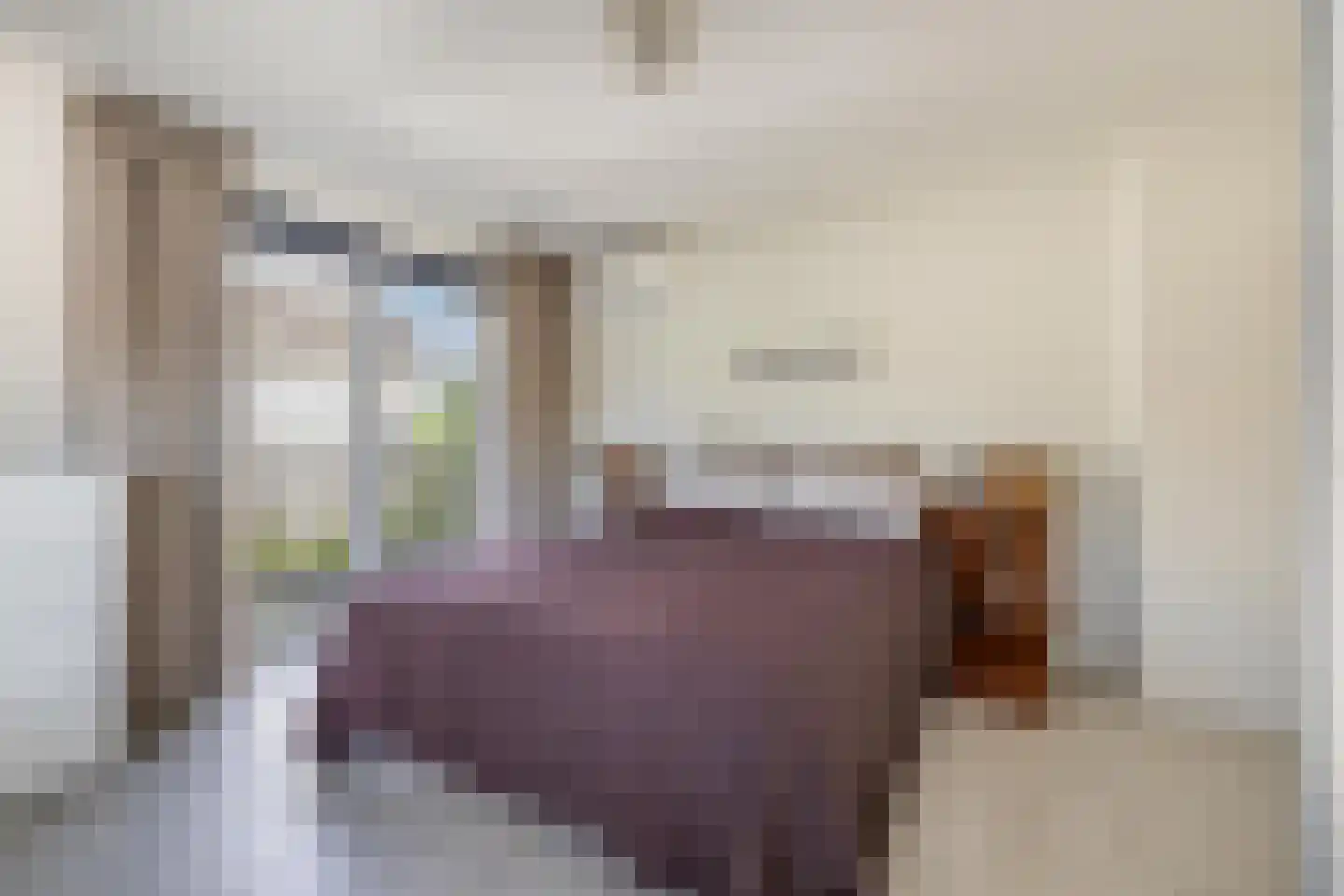 Molenstraat 44 Ulvenhout thumbnail 4