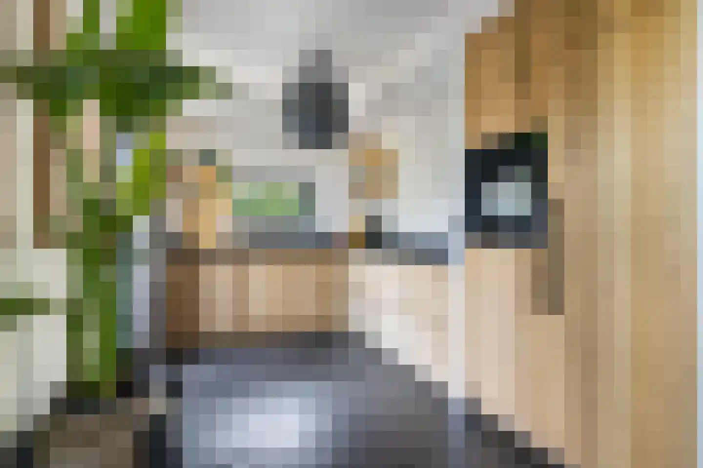 Molenstraat 44 Ulvenhout thumbnail 41