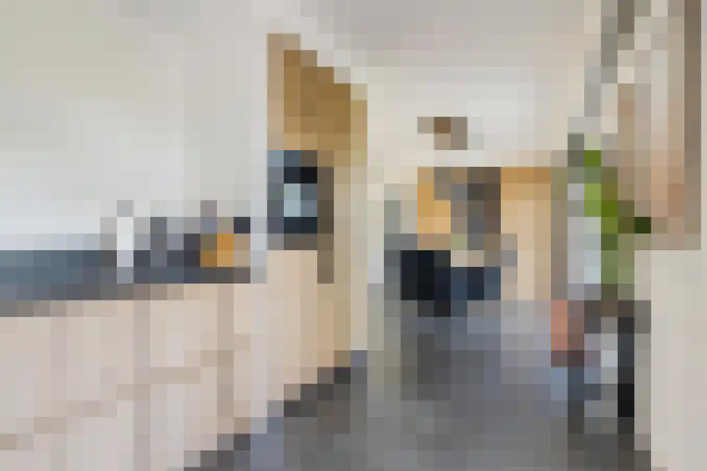 Molenstraat 44 Ulvenhout thumbnail 42