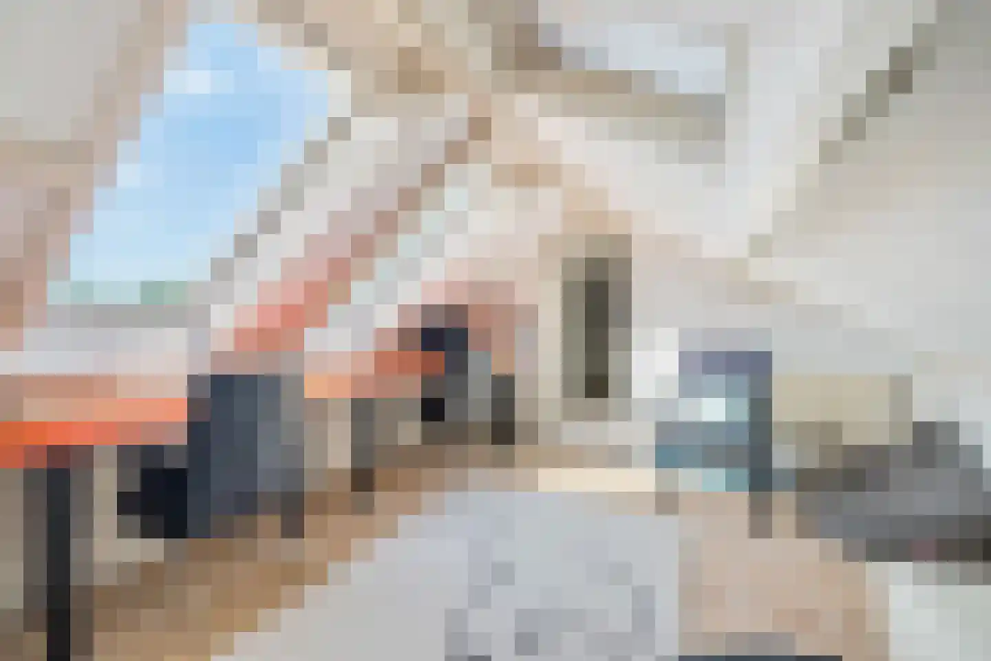 Molenstraat 44 Ulvenhout thumbnail 67