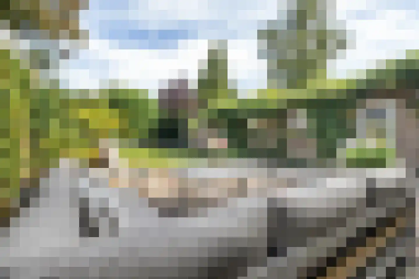 Molenstraat 44 Ulvenhout thumbnail 70