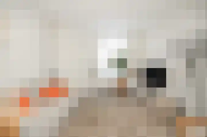 Molenstraat 45 Ameide thumbnail 6