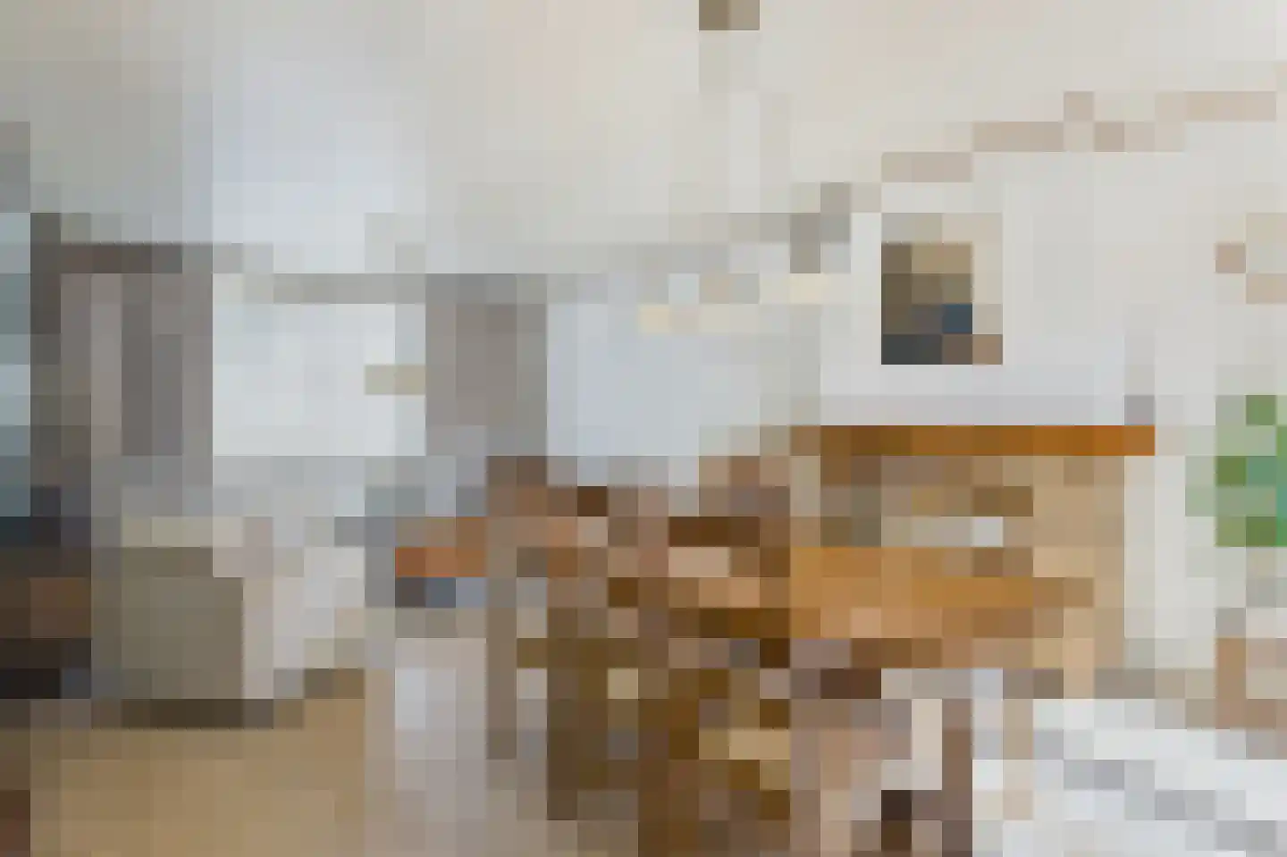 Molenstraat 45 Clinge thumbnail 12