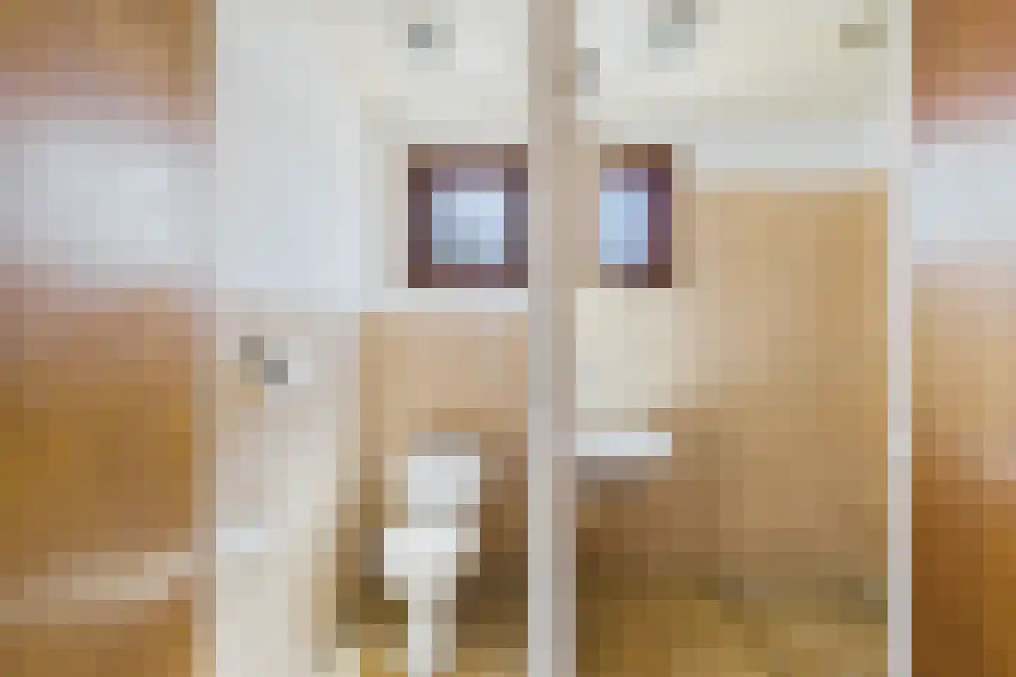 Molenstraat 45 Clinge thumbnail 21