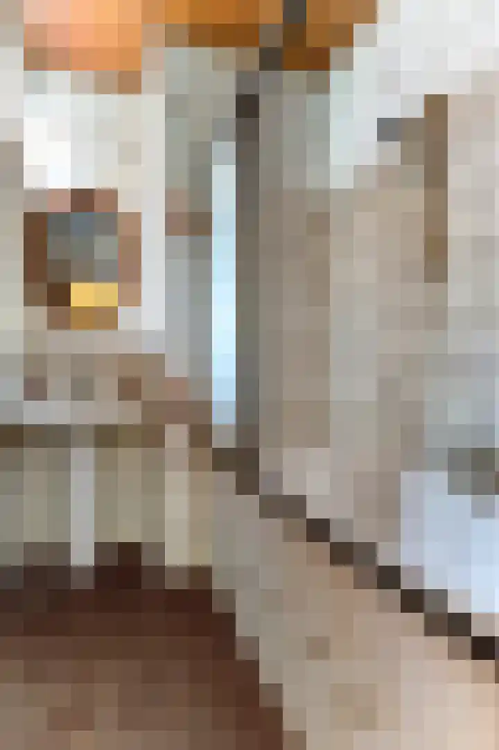 Molenstraat 45 Kruisland thumbnail 16