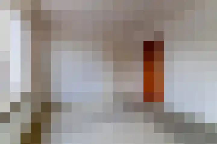 Molenstraat 45 Kruisland thumbnail 21