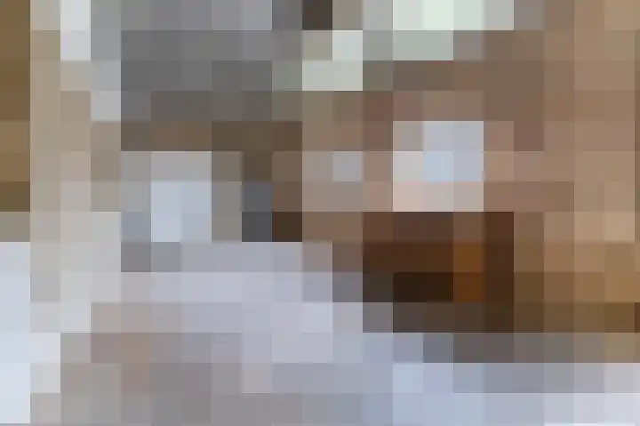 Molenstraat 45 Kruisland thumbnail 29