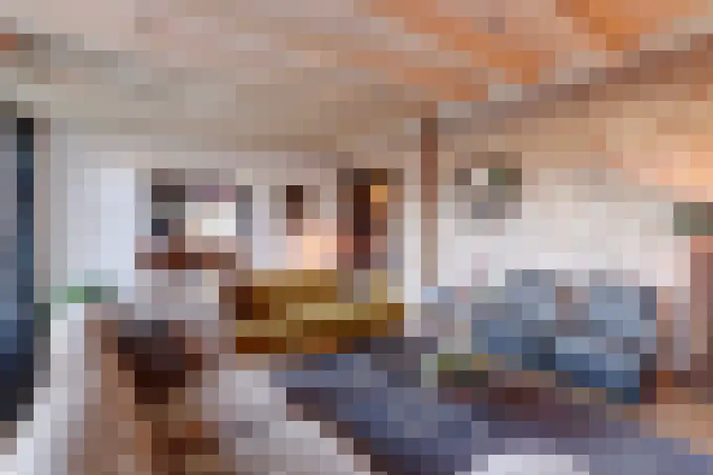 Molenstraat 45 Raamsdonk thumbnail 10