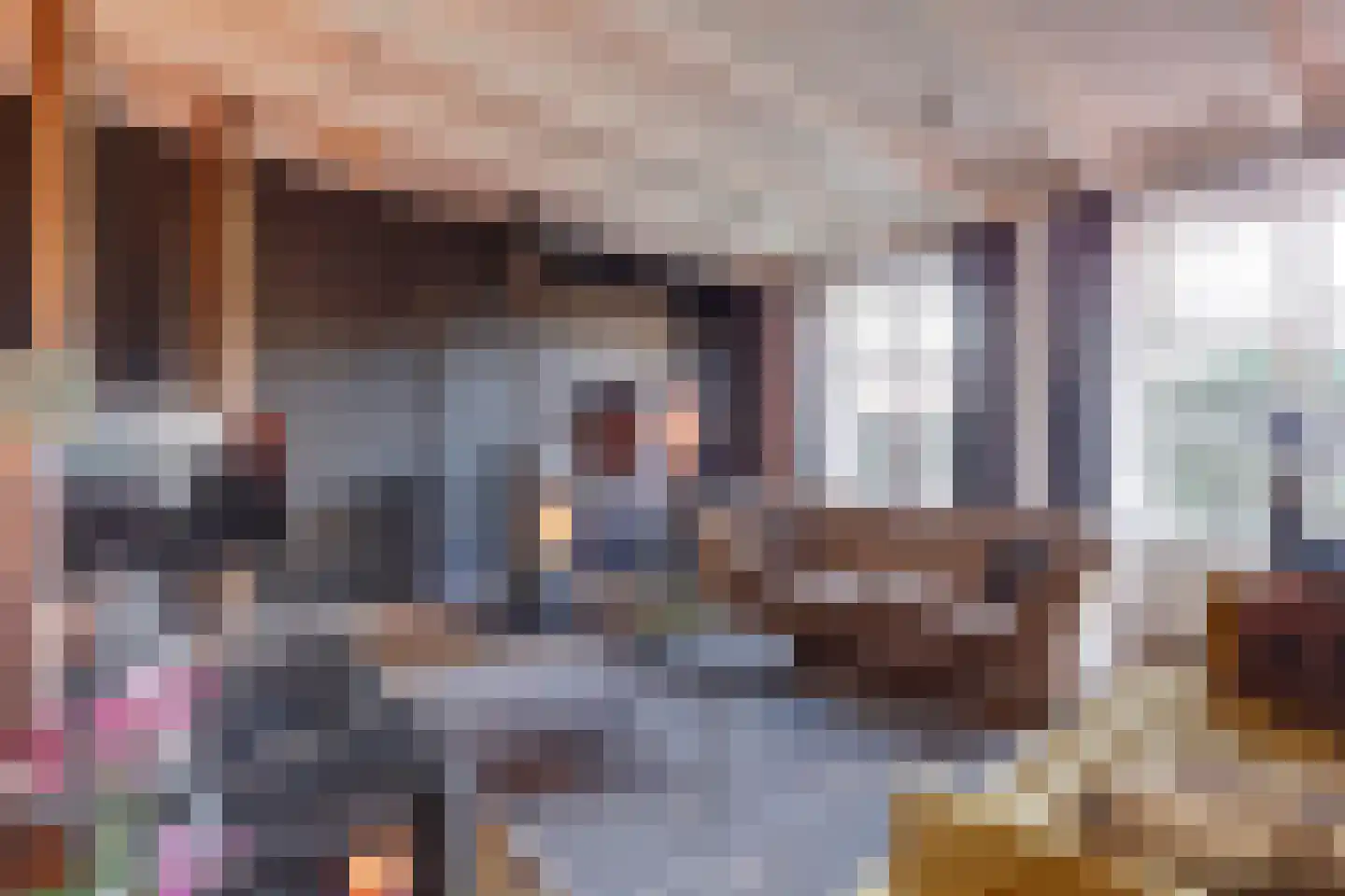 Molenstraat 45 Raamsdonk thumbnail 11