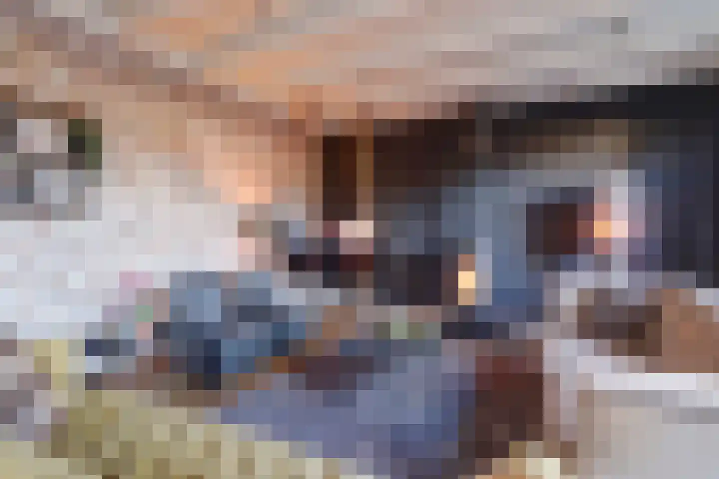 Molenstraat 45 Raamsdonk thumbnail 12