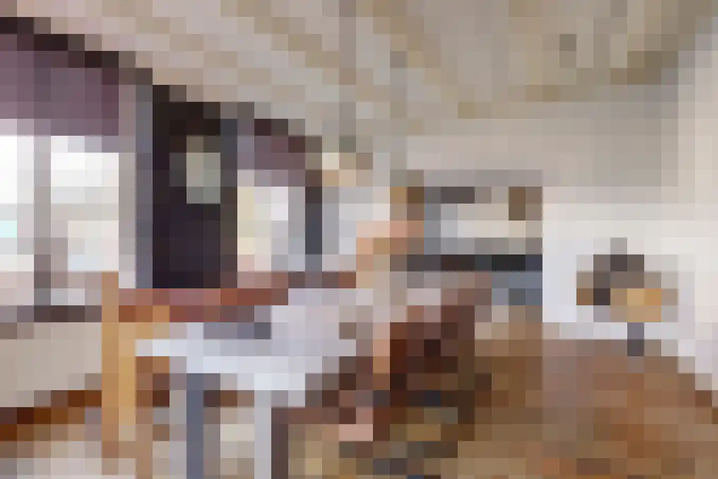 Molenstraat 45 Raamsdonk thumbnail 17
