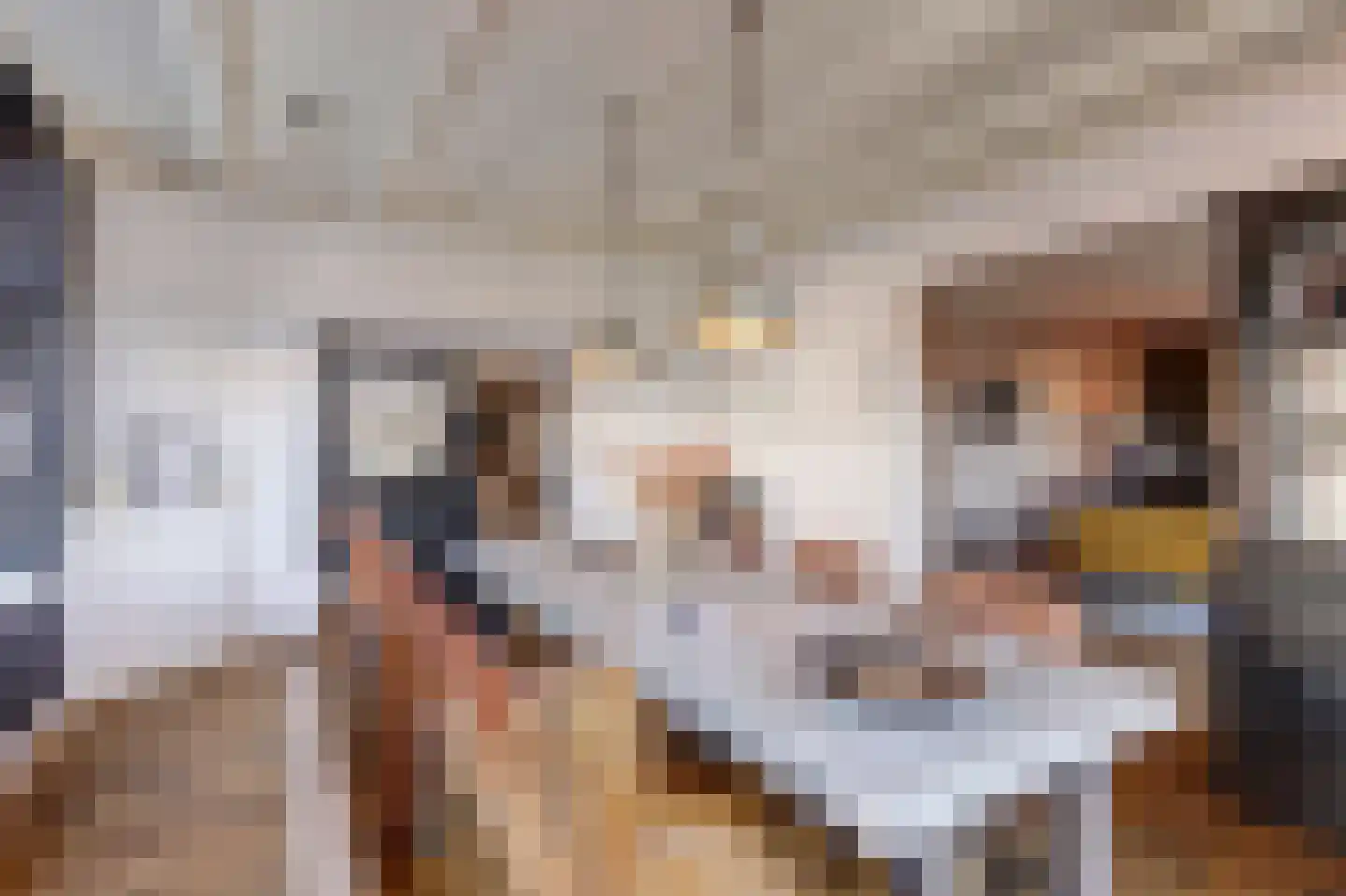 Molenstraat 45 Raamsdonk thumbnail 18