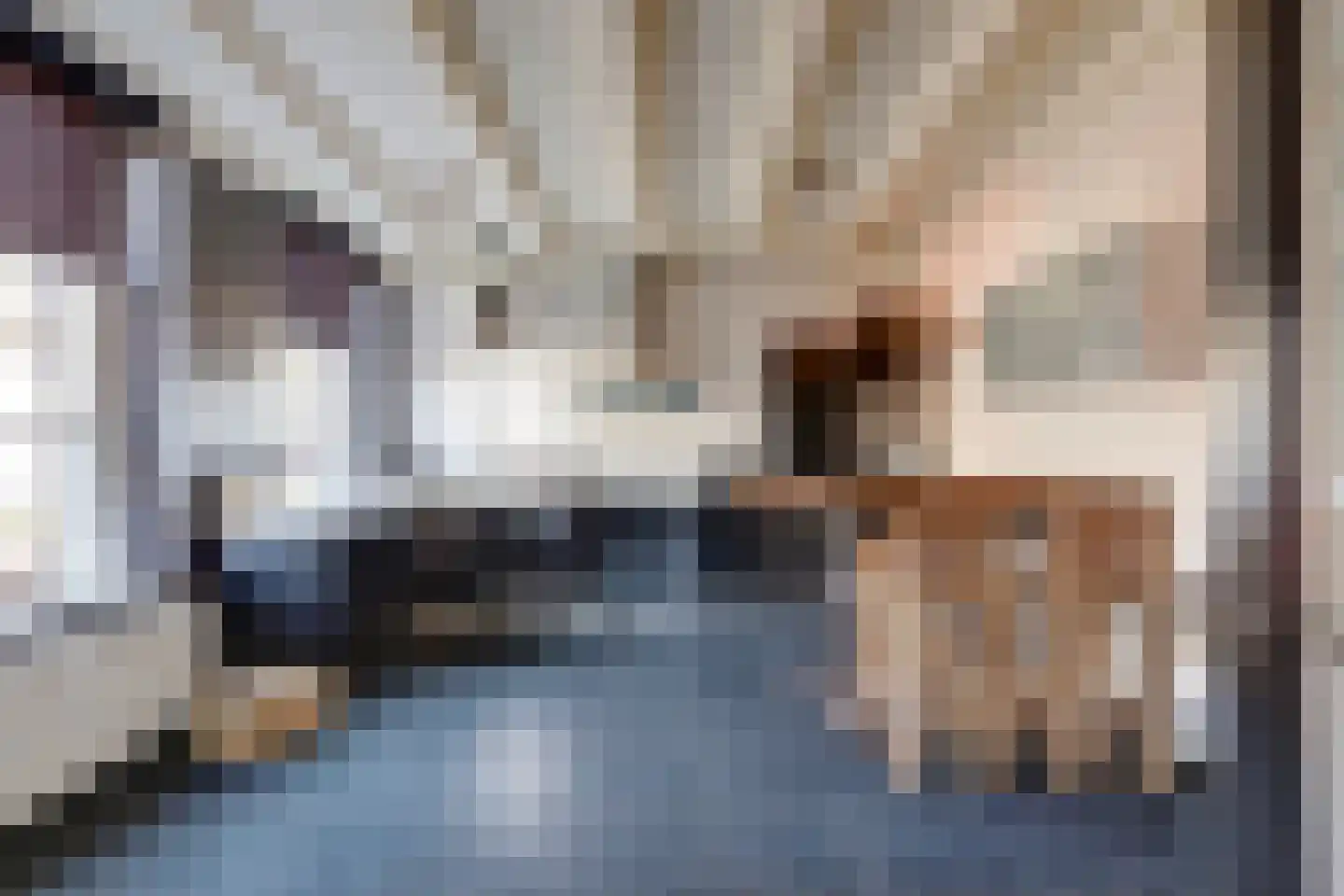 Molenstraat 45 Raamsdonk thumbnail 24