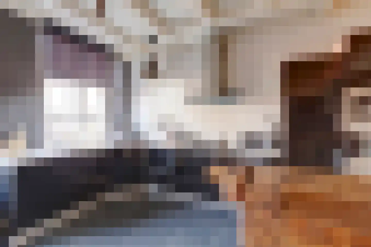 Molenstraat 45 Raamsdonk thumbnail 25