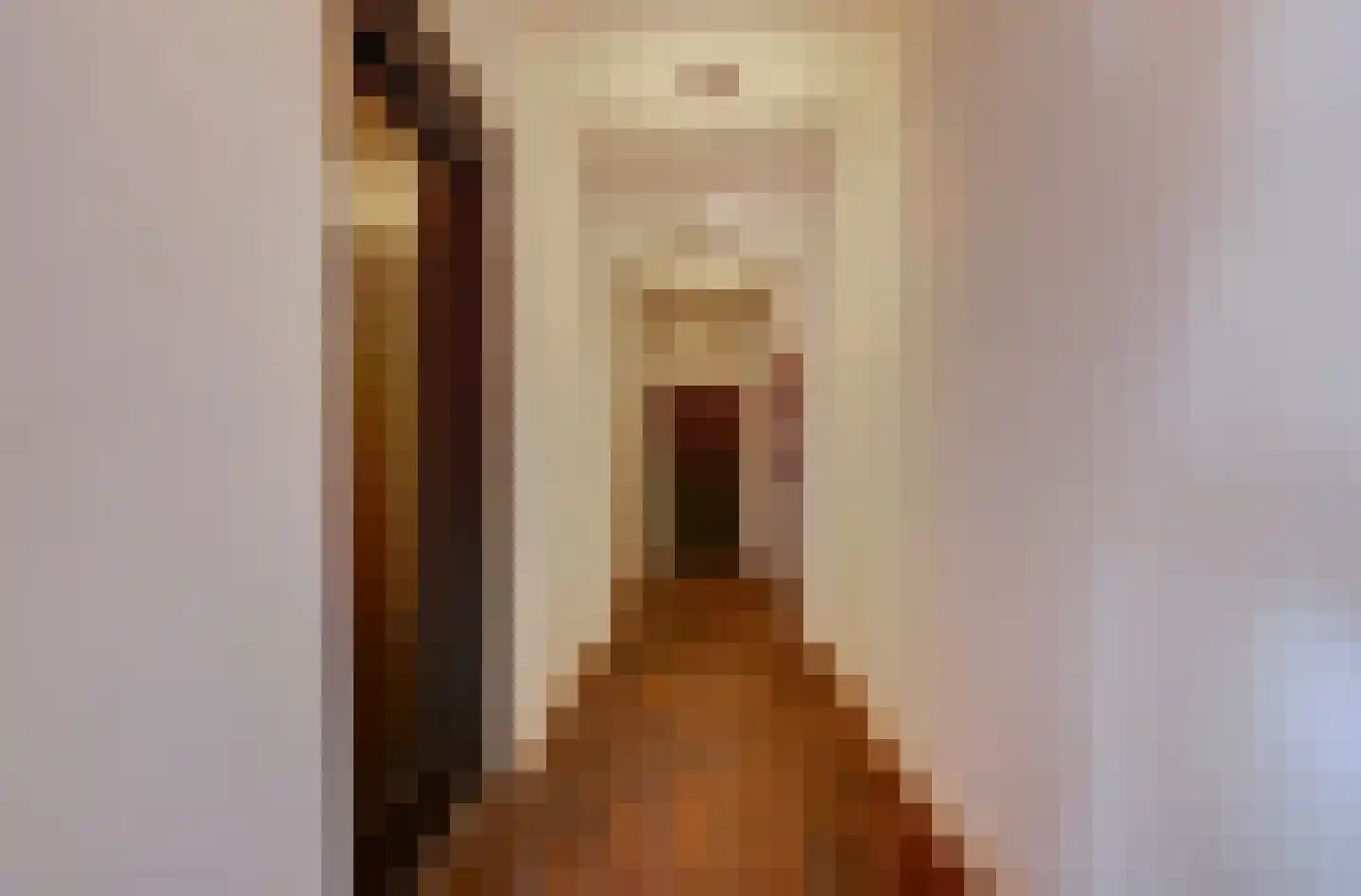 Molenstraat 45 Raamsdonk thumbnail 28
