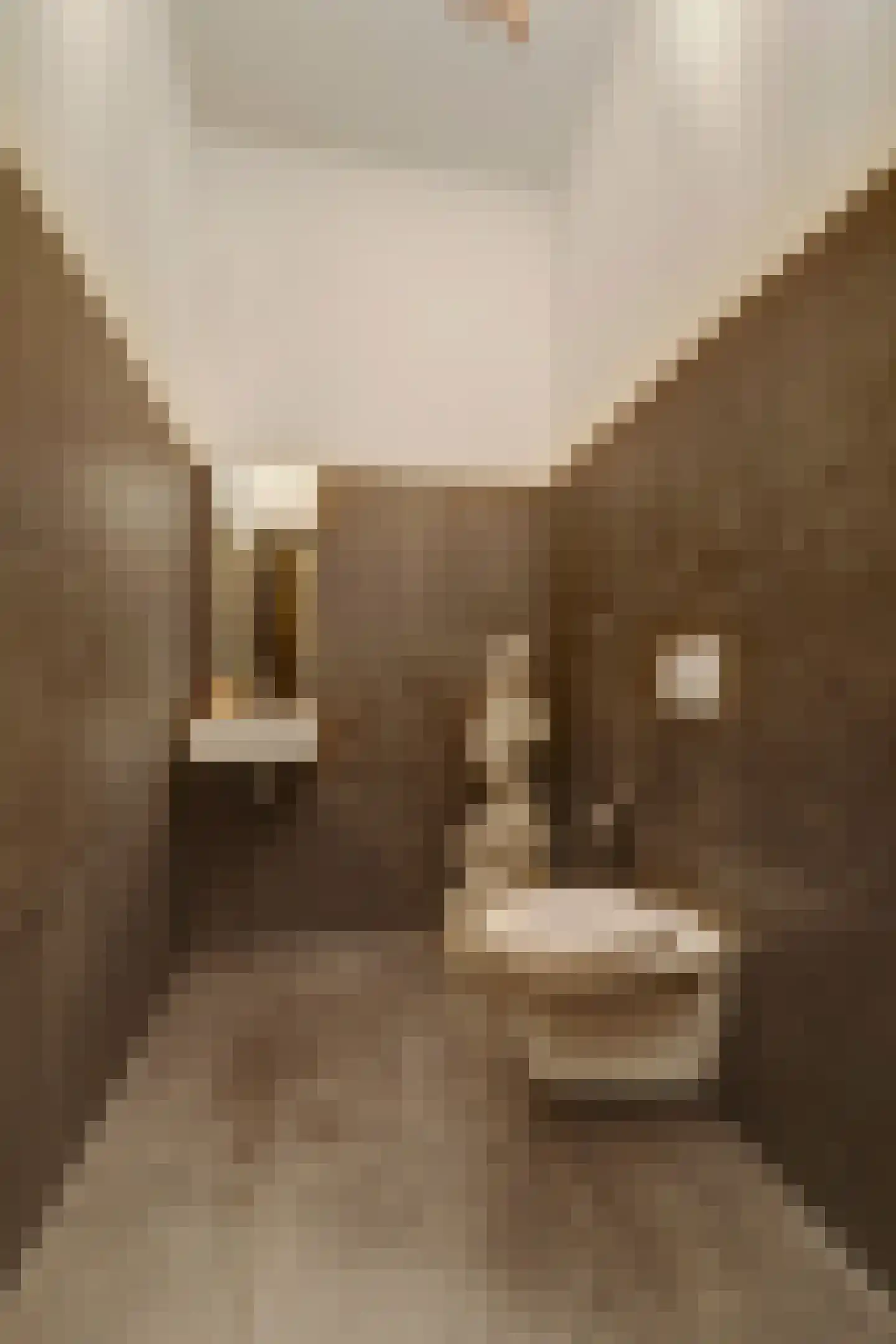 Molenstraat 45 Raamsdonk thumbnail 29