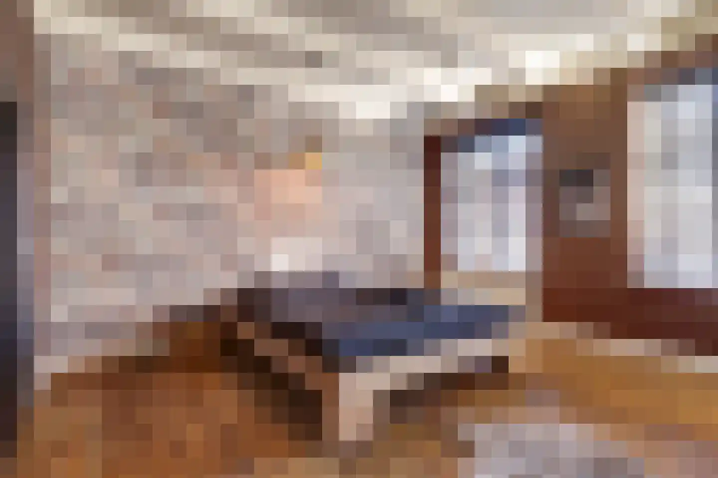 Molenstraat 45 Raamsdonk thumbnail 30