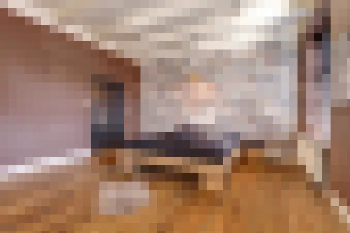 Molenstraat 45 Raamsdonk thumbnail 31