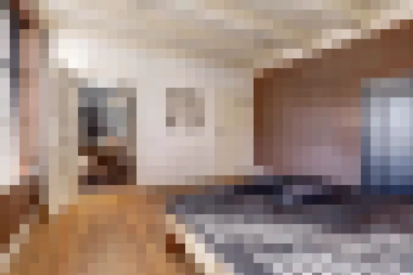 Molenstraat 45 Raamsdonk thumbnail 32