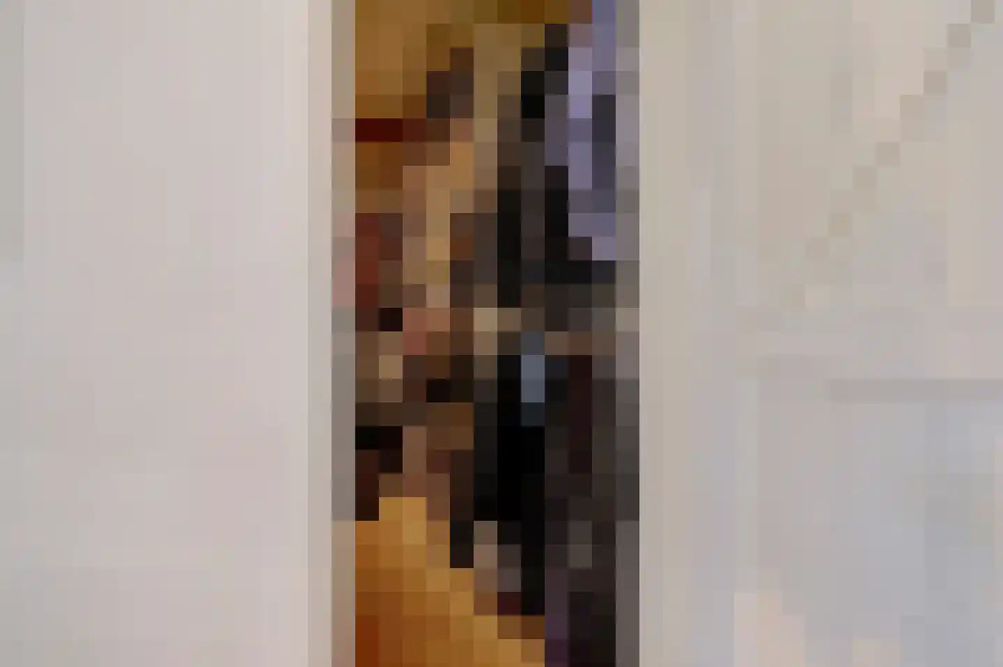 Molenstraat 45 Raamsdonk thumbnail 33