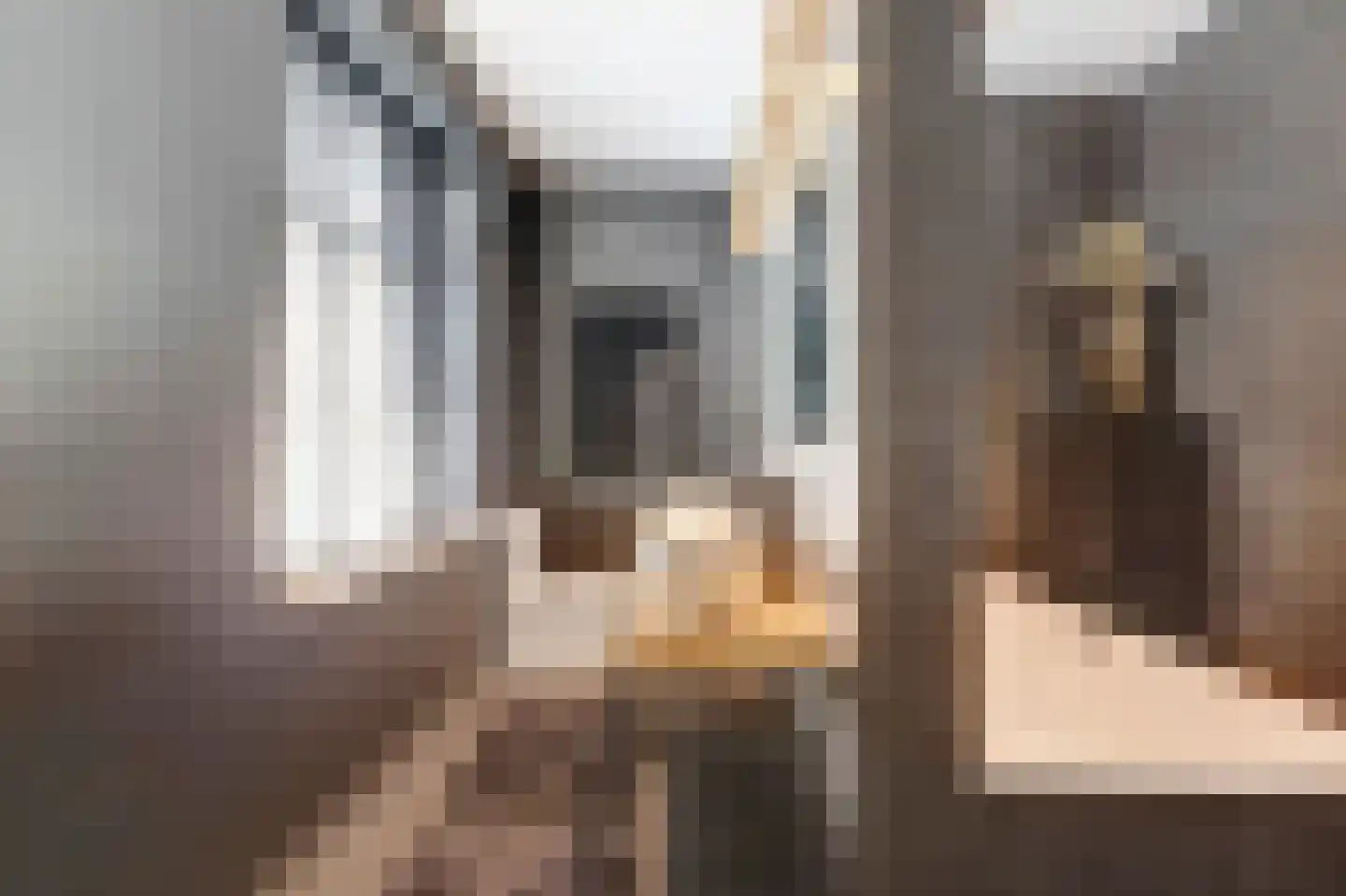 Molenstraat 45 Raamsdonk thumbnail 34
