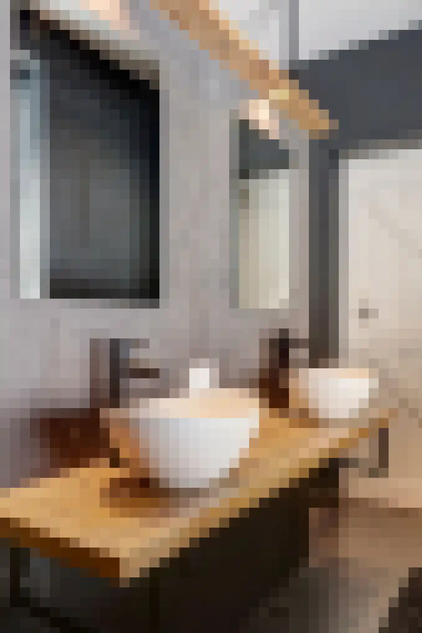 Molenstraat 45 Raamsdonk thumbnail 35
