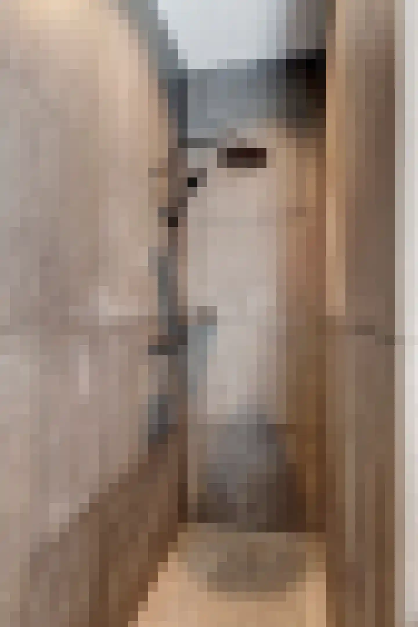 Molenstraat 45 Raamsdonk thumbnail 36