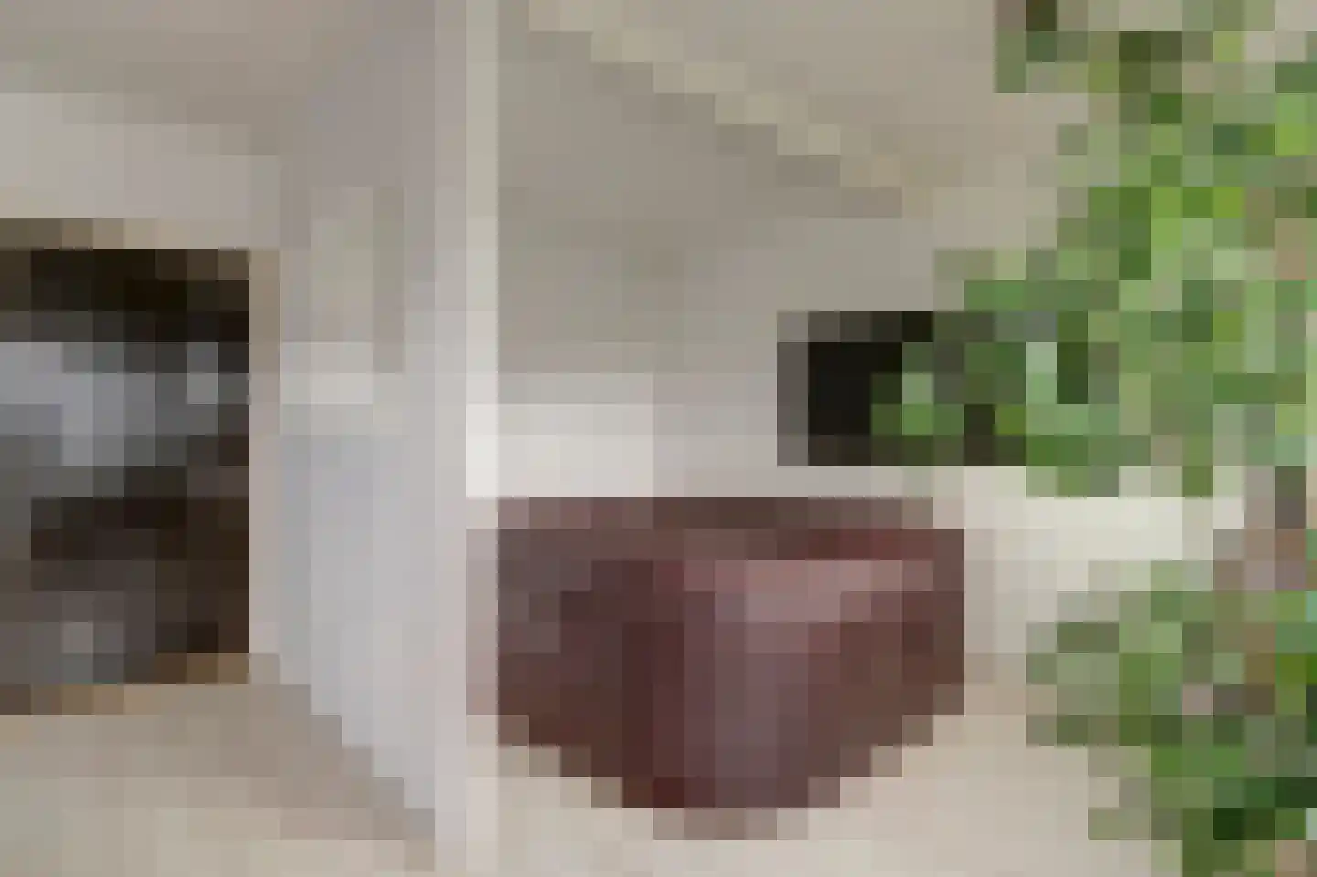 Molenstraat 45 Raamsdonk thumbnail 38