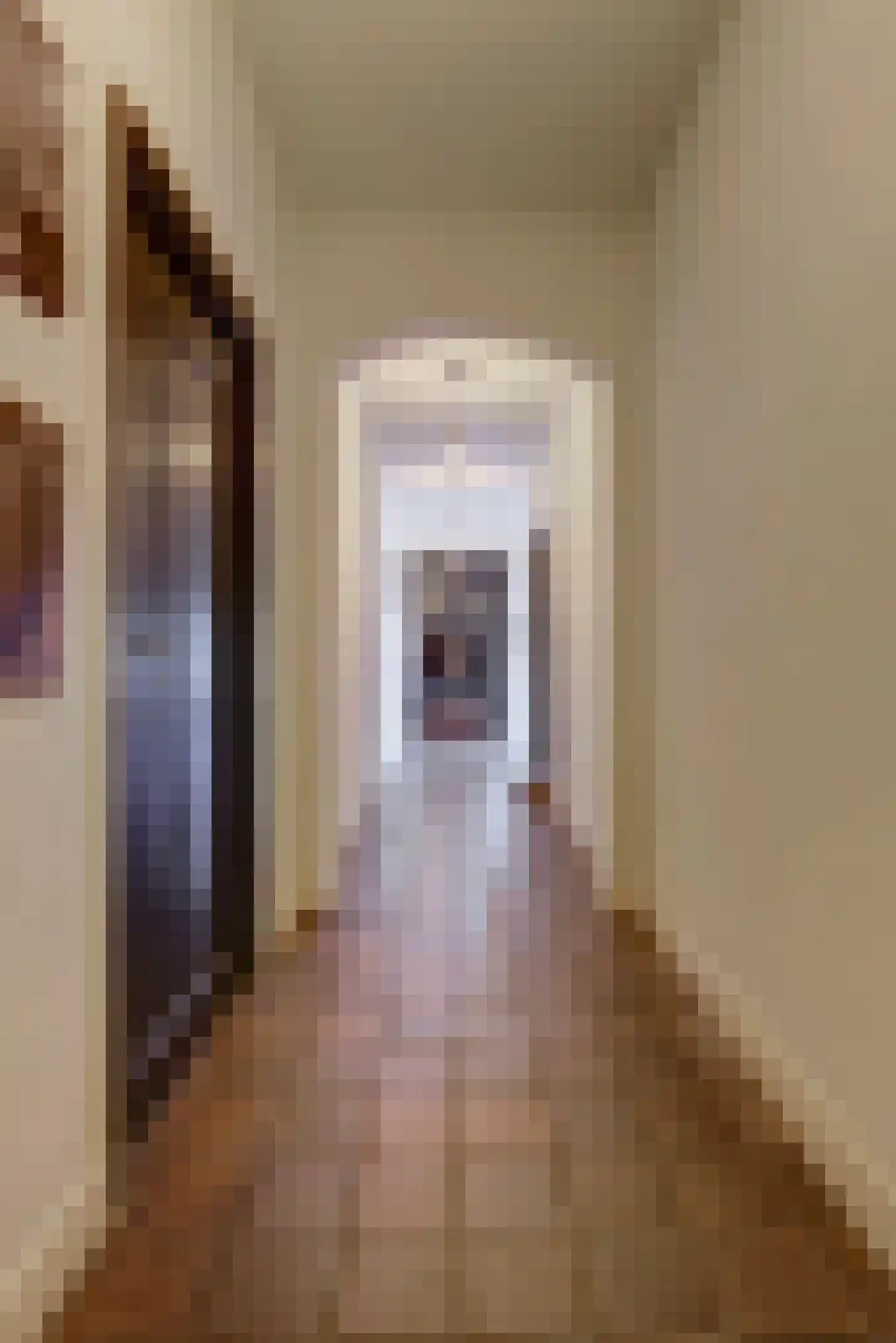 Molenstraat 45 Raamsdonk thumbnail 43