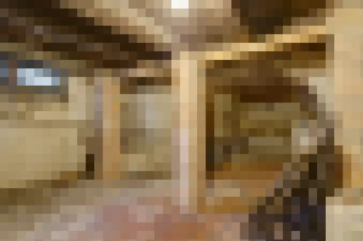 Molenstraat 45 Raamsdonk thumbnail 45