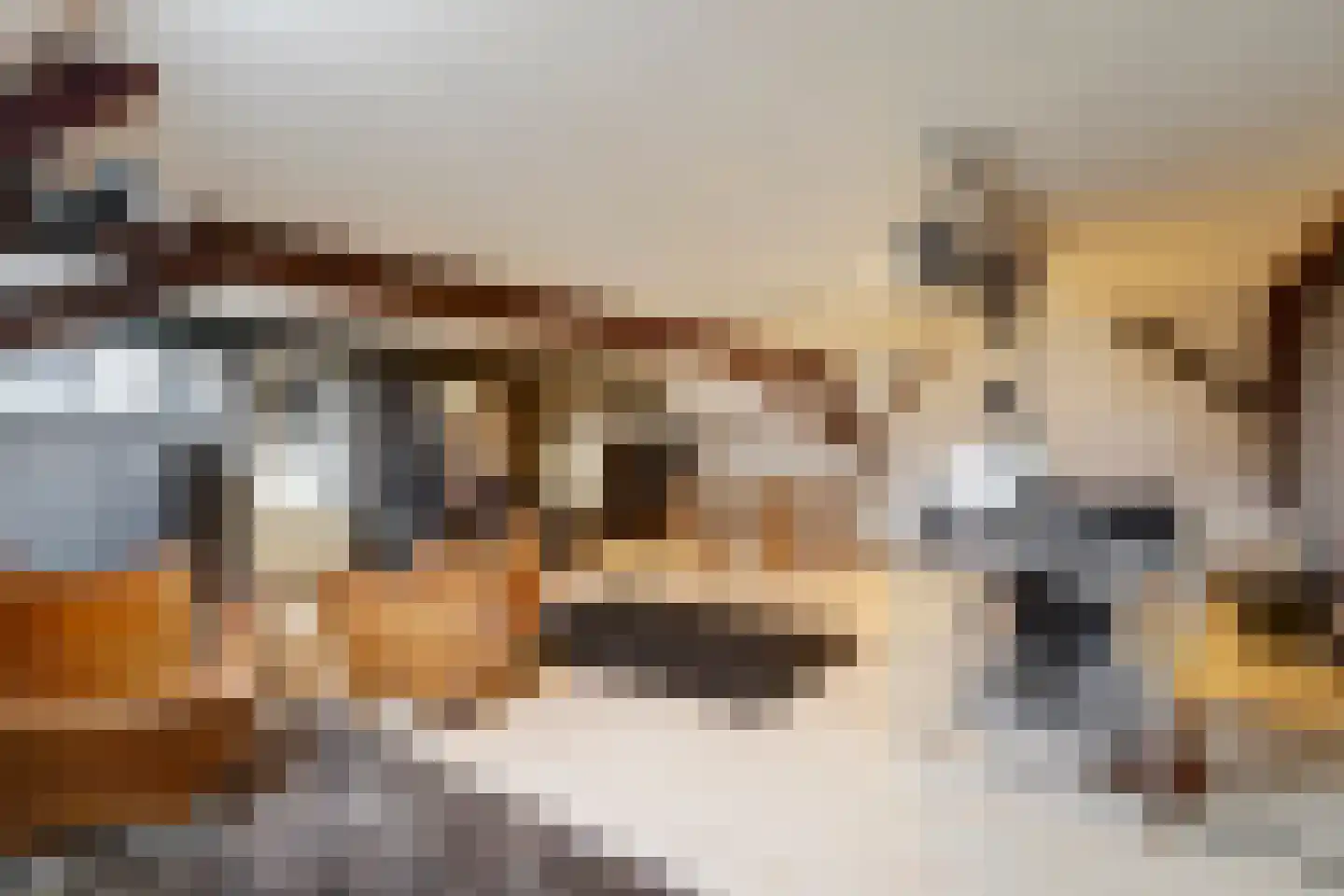 Molenstraat 45 Raamsdonk thumbnail 47